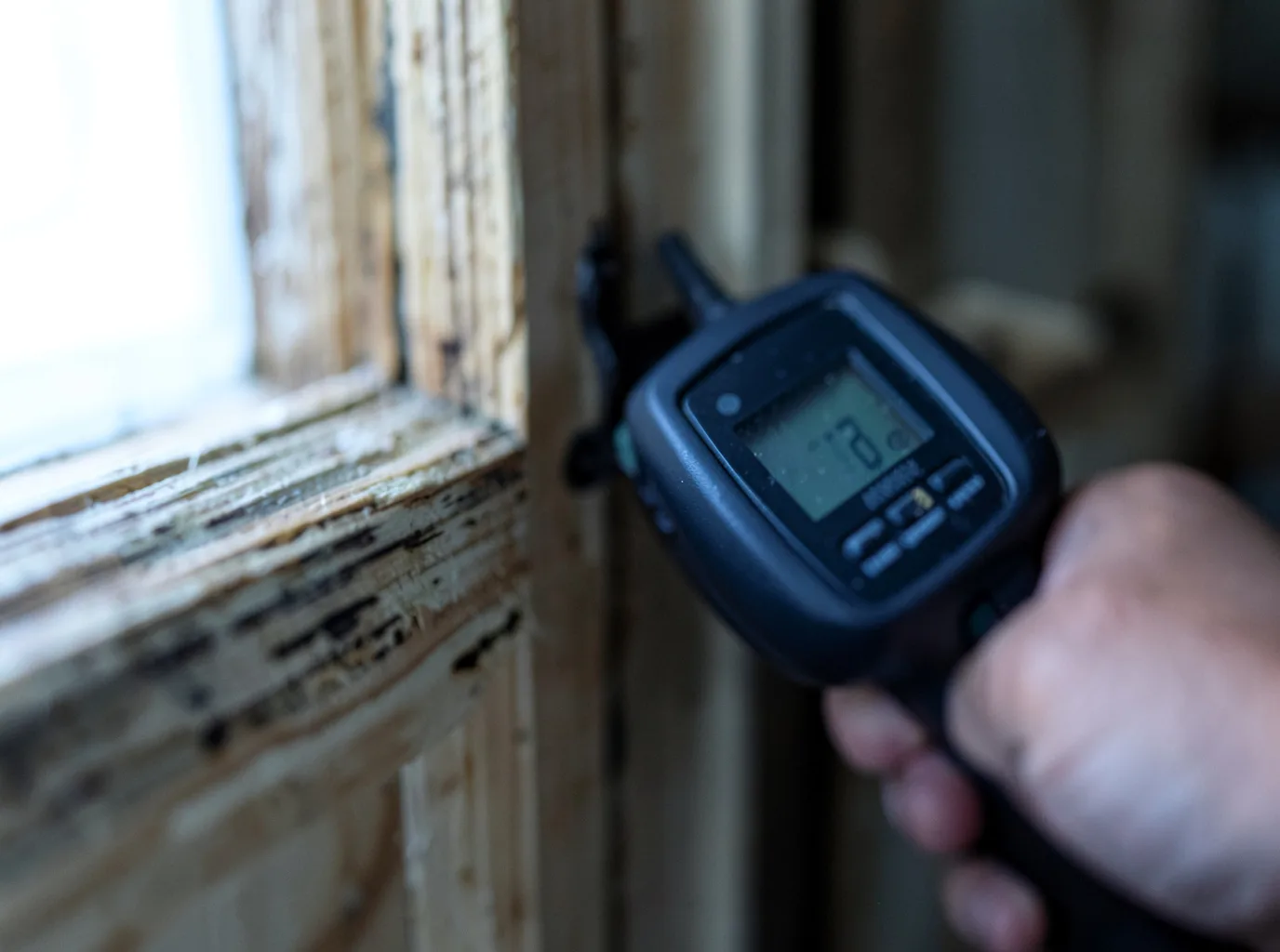 Moisture Inspection And Documentation in Sahuarita, AZ